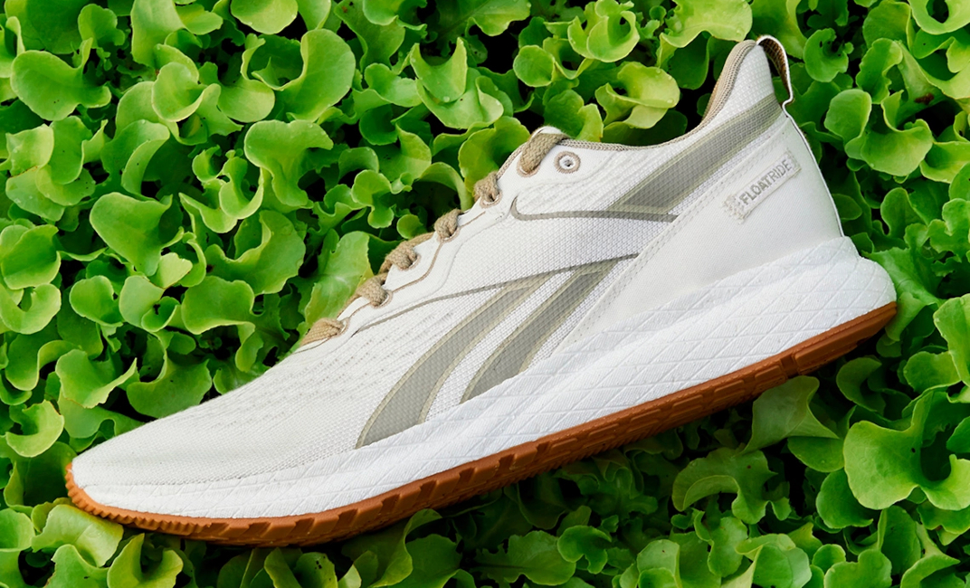 Sustainable Shoe